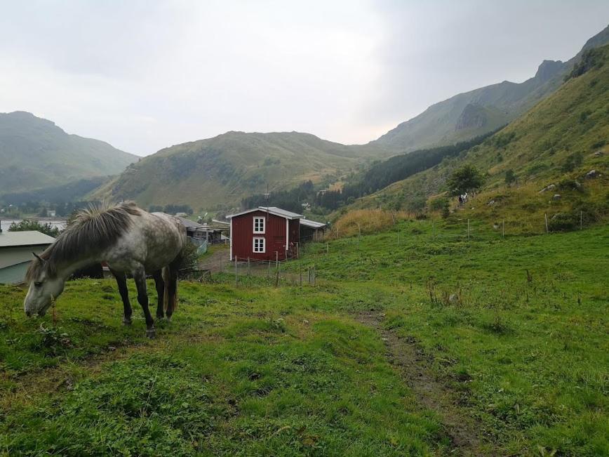 Glamping Lofoten Hotel Kongsjorda Kültér fotó